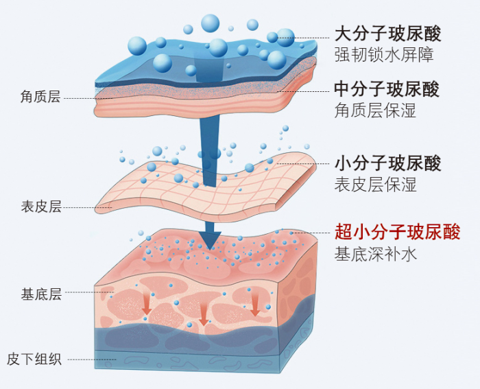 海焯诗娜:做真正的超小分子玻尿酸