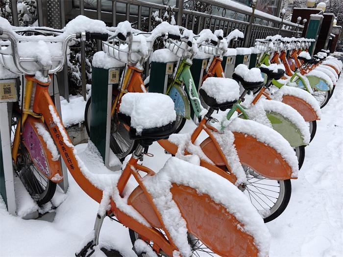 山东2024年首场大范围降雪来临  8市41县区出现降雪2.jpg